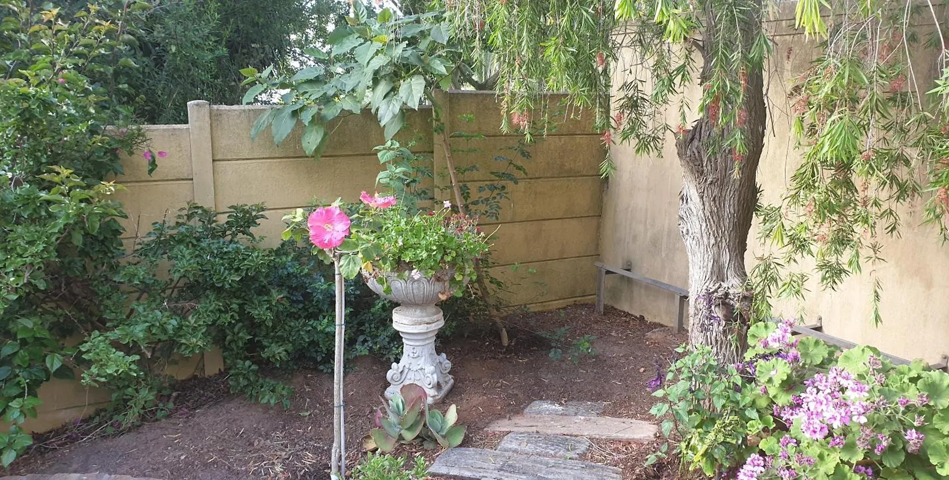 ** Guest house Aurora Guest Units Hotel Durbanville South Africa